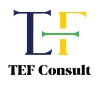 TEF CONSULT