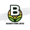 Bagamoyo Farms Limted