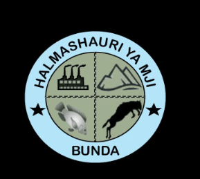 Bunda District Council