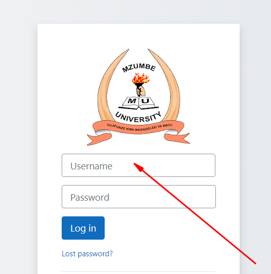 E Learning Mzumbe Login: Reset Your Password in Minutes