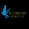 Bluebird Schools_znz