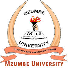 Mzumbe University